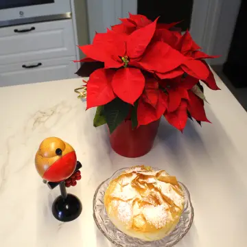 Tarta crujiente de crema catalana con ponsetia navideña, lista para el corte